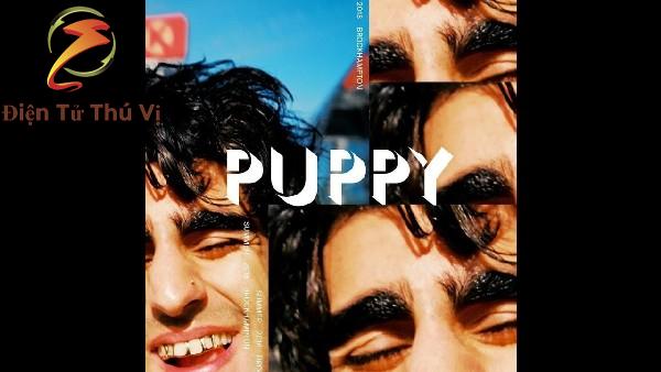 Brockhampton Puppy leak