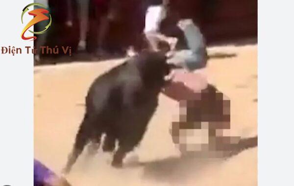 Getting Gored And Disemboweled By The Bull Livegore